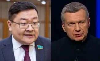 Сарым: Комары и автоматы — Украина должна выбрать цели