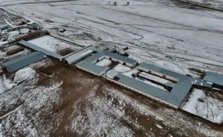 В Конаеве началось строительство молочно-товарной фермы на 1200 голов