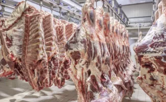 Минсельхоз объяснил новые ограничения на вывоз говядины: причины и порядок применения