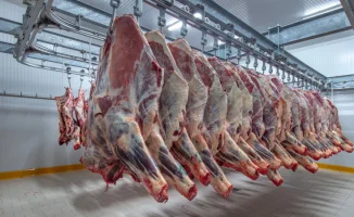 В Казахстане продлили ограничения на вывоз говядины: влияние на продовольственную безопасность