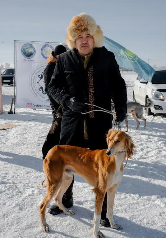 Традиции степи: самых быстрых тазы выбрали в Бухар-Жырауском районе (5)