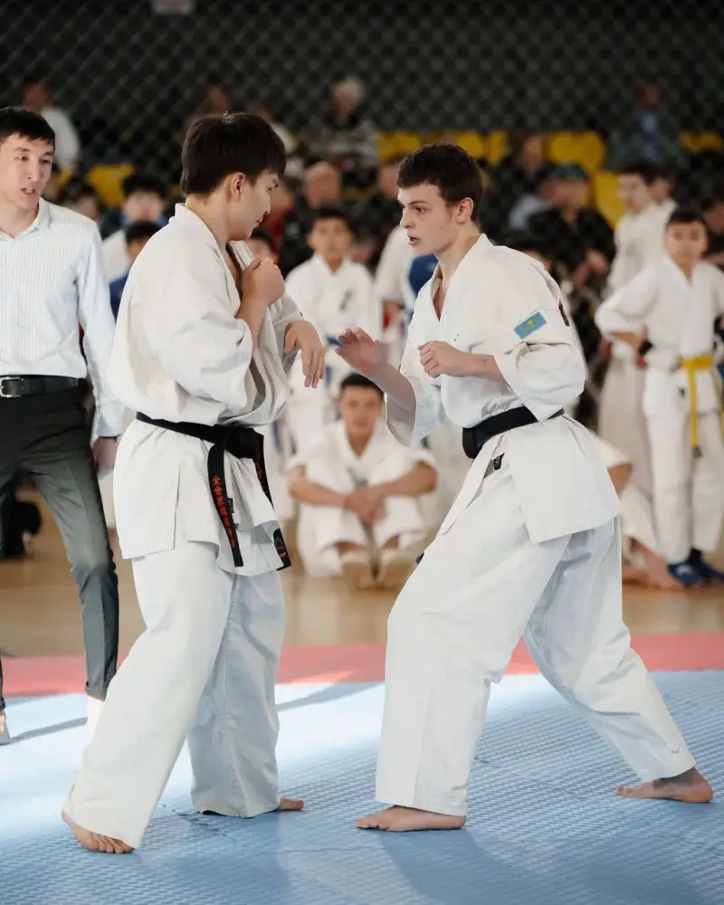 «Закон и порядок»: турнир по кёкушин будокай каратэ пройдет в Астане (8)