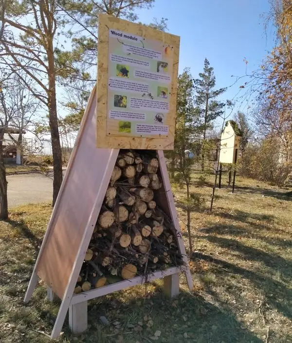 Экопроект: в Карагандинском университете имени Е. А. Букетова открыли «гостиницу» для полезных насекомых (2)