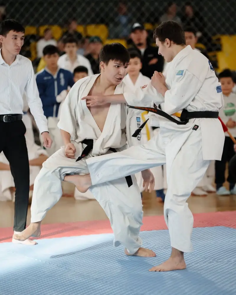 «Закон и порядок»: турнир по кёкушин будокай каратэ пройдет в Астане (7)