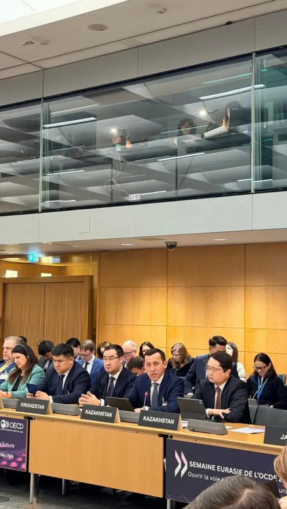 Казахстан подтверждает приверженность сотрудничеству с ОЭСР (2)