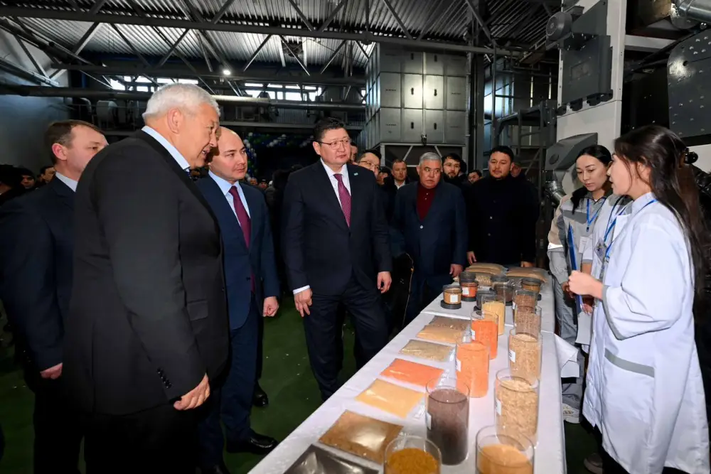 В области Абай открыт завод по переработке бобовых и масличных культур (8)