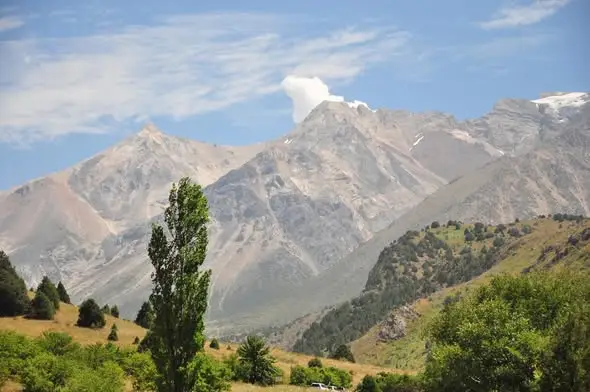В ТУРКЕСТАНСКОЙ ОБЛАСТИ ПРИВЕДУТ В ПОРЯДОК УЛИЦЫ НЕСКОЛЬКИХ РАЙОНОВ И ГОРОДОВ И УЛУЧШАТ АРХИТЕКТУРУ ОБЪЕКТОВ (4)