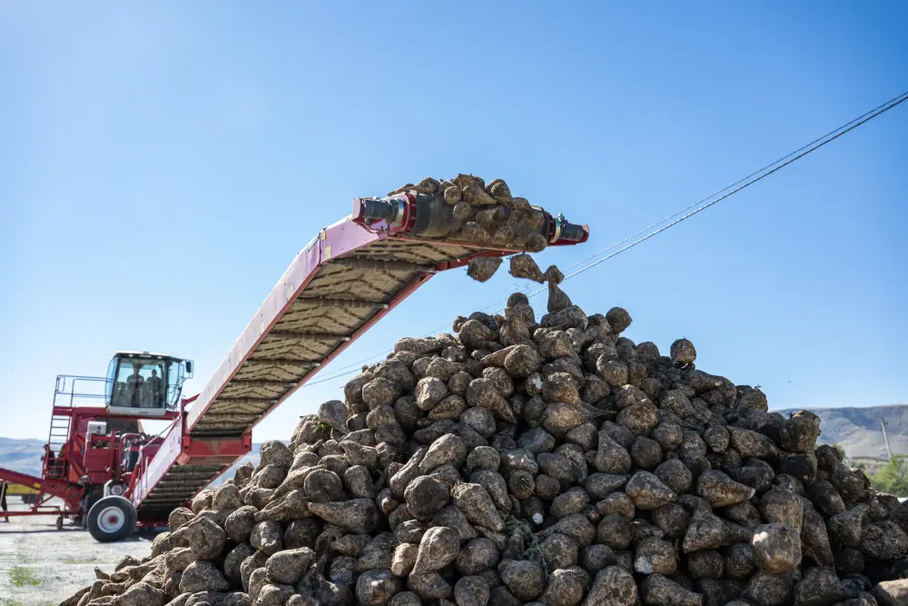 Бейбит Исабаев обозначил шесть приоритетов развития области Жетісу (4)