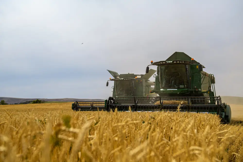 Бейбит Исабаев обозначил шесть приоритетов развития области Жетісу (5)
