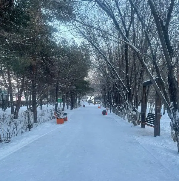 От детских площадок до скверов: как жители Темиртау меняют город по «Бюджету народного участия» (2)