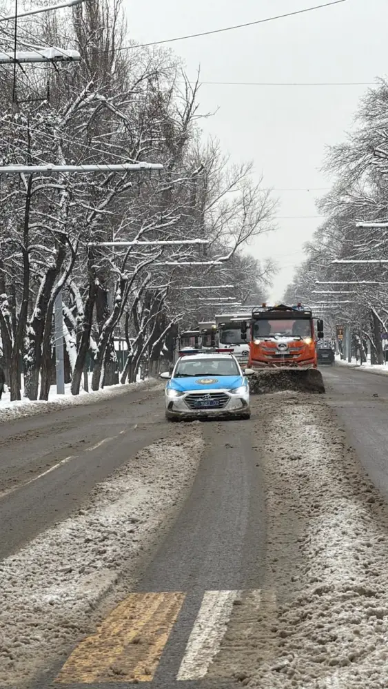Более 4 тыс. рабочих и 1250 единиц техники: Алматы в четвертый раз за сутки проводит сплошную очистку улиц (2)