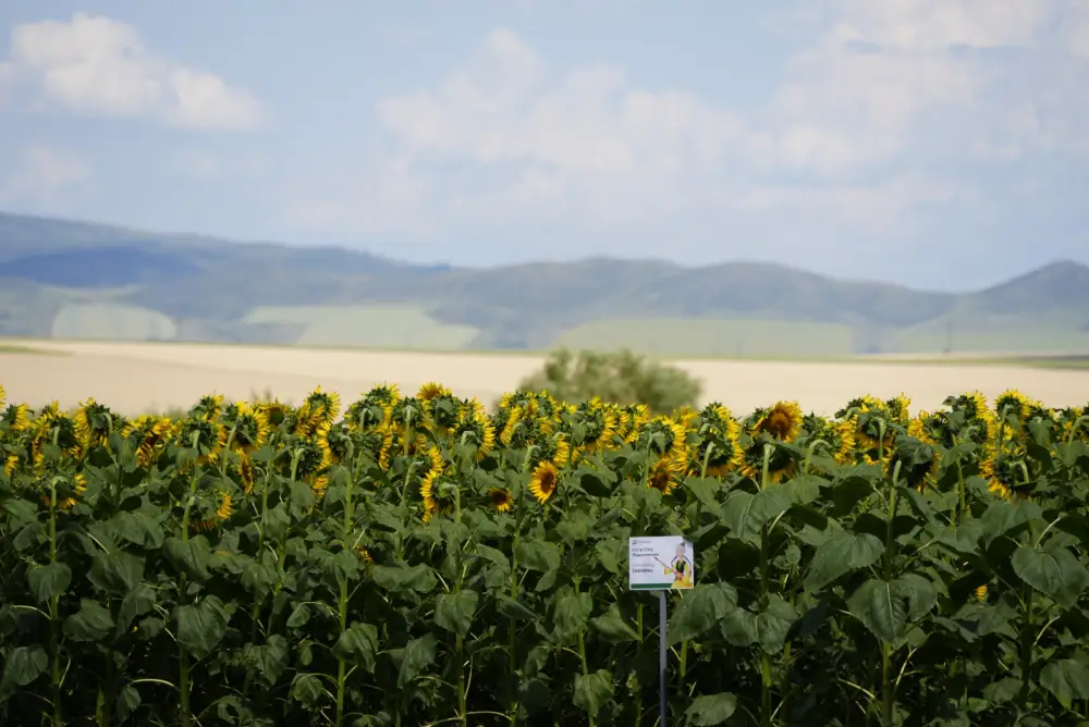 Поддержка села: как реализуются государственные программы в Восточно-Казахстанской области (2)