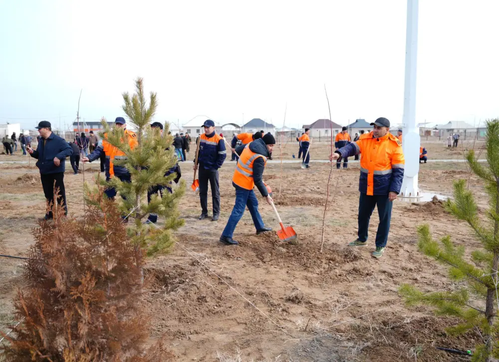 «ТАЗА КАЗАХСТАН»: В ПРОШЛОМ ГОДУ В ТУРКЕСТАНСКОЙ ОБЛАСТИ ВЫСАЖЕНО БОЛЕЕ 1 МЛН САЖЕНЦЕВ (5)