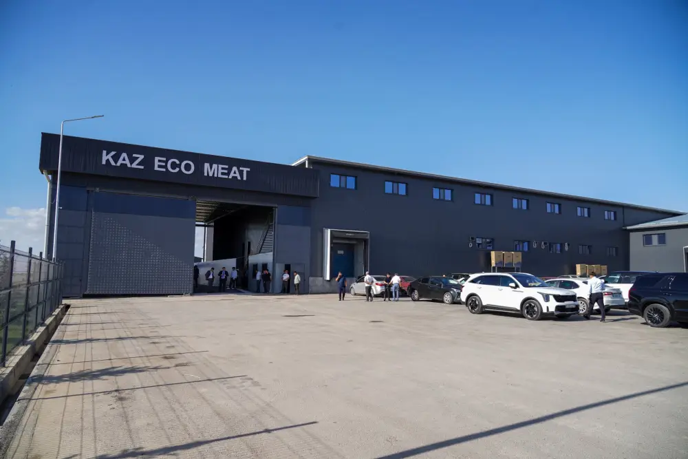 ТУРКЕСТАНСКАЯ ОБЛАСТЬ ЭКСПОРТИРОВАЛА ЗА РУБЕЖ БОЛЕЕ 60 ТЫСЯЧ ТОНН МЯСА, СТАВ ЛИДЕРОМ В РЕСПУБЛИКЕ (2)