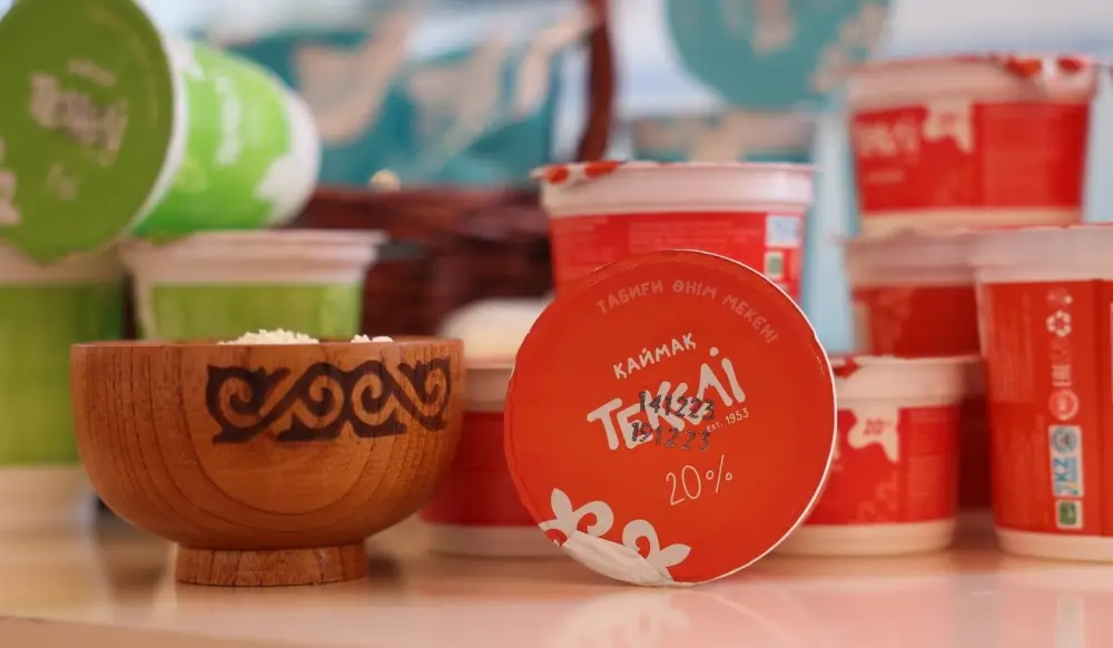 Бейбит Исабаев обозначил шесть приоритетов развития области Жетісу (8)