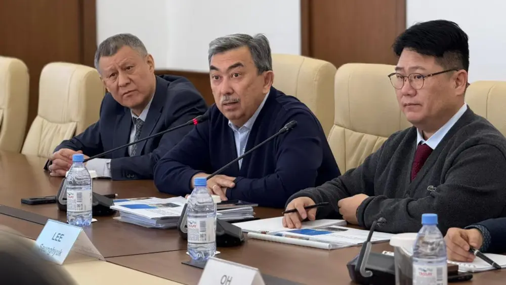 Инвестиционный импульс для Улытау: переговоры с компанией «Microbus (2)