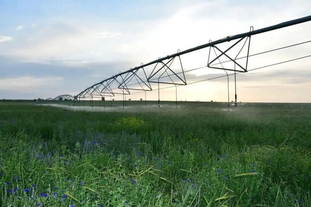 ТУРКЕСТАНСКАЯ ОБЛАСТЬ ЛИДИРУЕТ В РЕСПУБЛИКЕ ПО ВНЕДРЕНИЮ ВОДОСБЕРЕГАЮЩИХ ТЕХНОЛОГИЙ (3)
