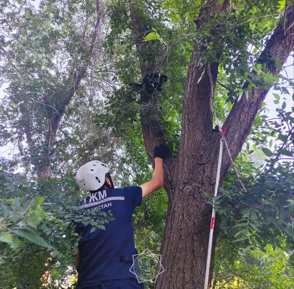 В 2025 году спасатели МЧС спасли более 400 животных по всей стране (8)