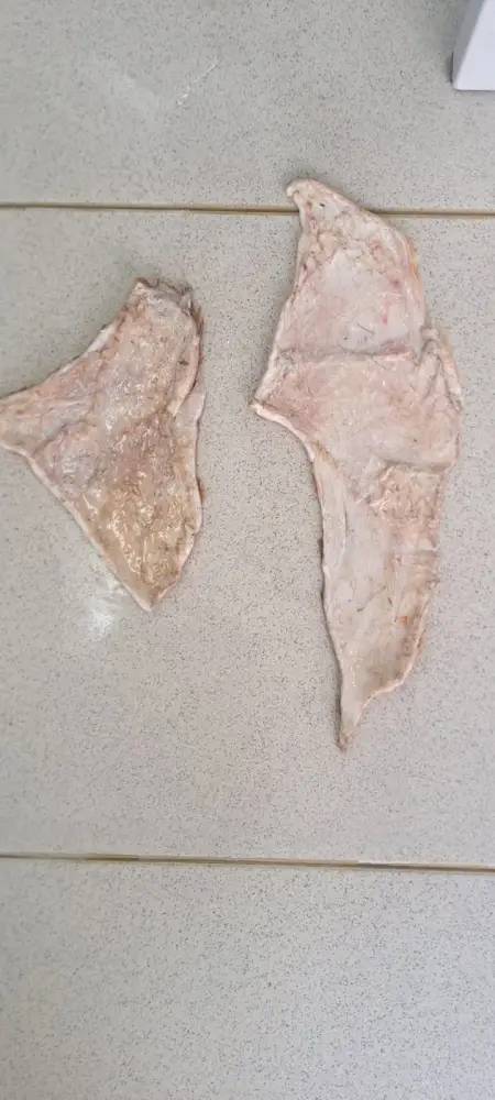 Ученые разрабатывают инновационную технологию сохранения шкур КРС (5)