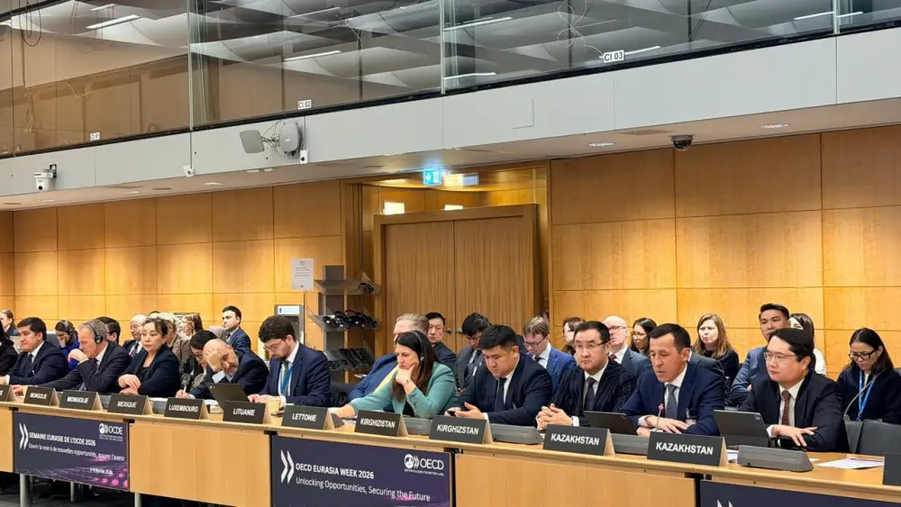 Казахстан подтверждает приверженность сотрудничеству с ОЭСР (3)