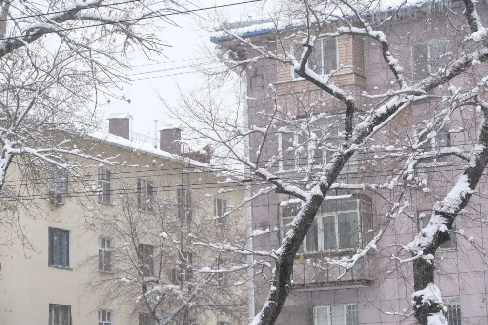В Алматы напомнили об ответственности за уборку наледи и снега (3)