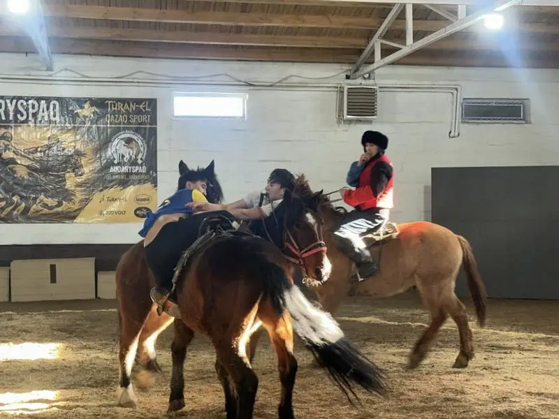 В Карагандинской области около 100 батыров-всадников боролись за победу на турнире по аударыспаку (4)