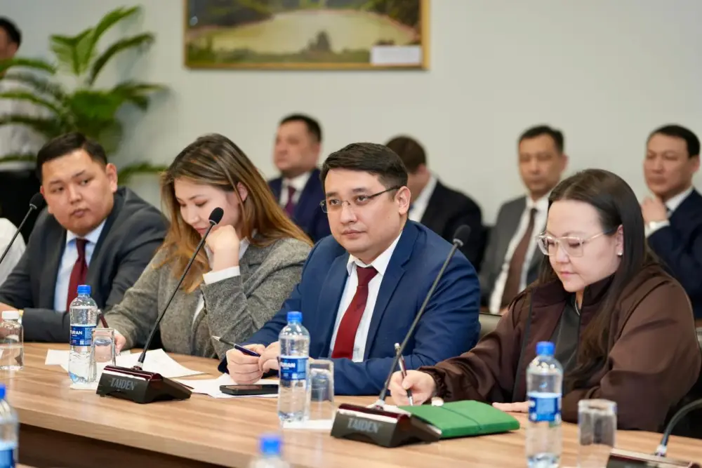 Энергетика без популизма: Ерлан Аккенженов обсудил с аналитиками реальные вызовы отрасли (7)