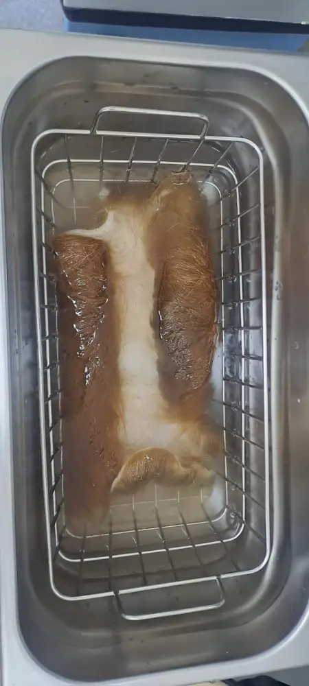 Ученые разрабатывают инновационную технологию сохранения шкур КРС (3)