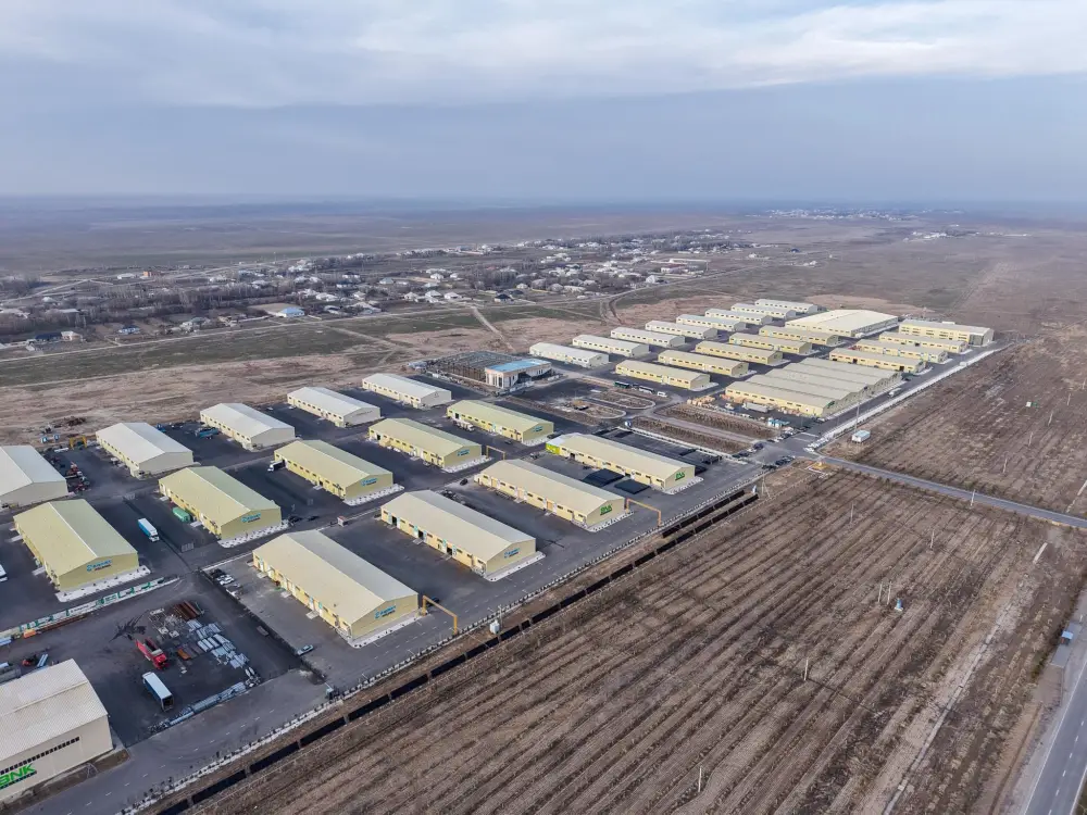 В ТУРКЕСТАНСКОЙ ОБЛАСТИ РЕАЛИЗУЮТСЯ НОВЫЕ ПРОЕКТЫ В ЦЕЛЯХ ДИВЕРСИФИКАЦИИ ЭКОНОМИКИ (8)