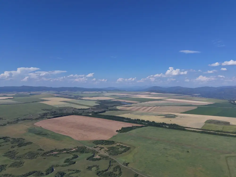 Агроинвестиции в ВКО: продовольственная безопасность, потенциал АПК, благосостояние сёл (3)