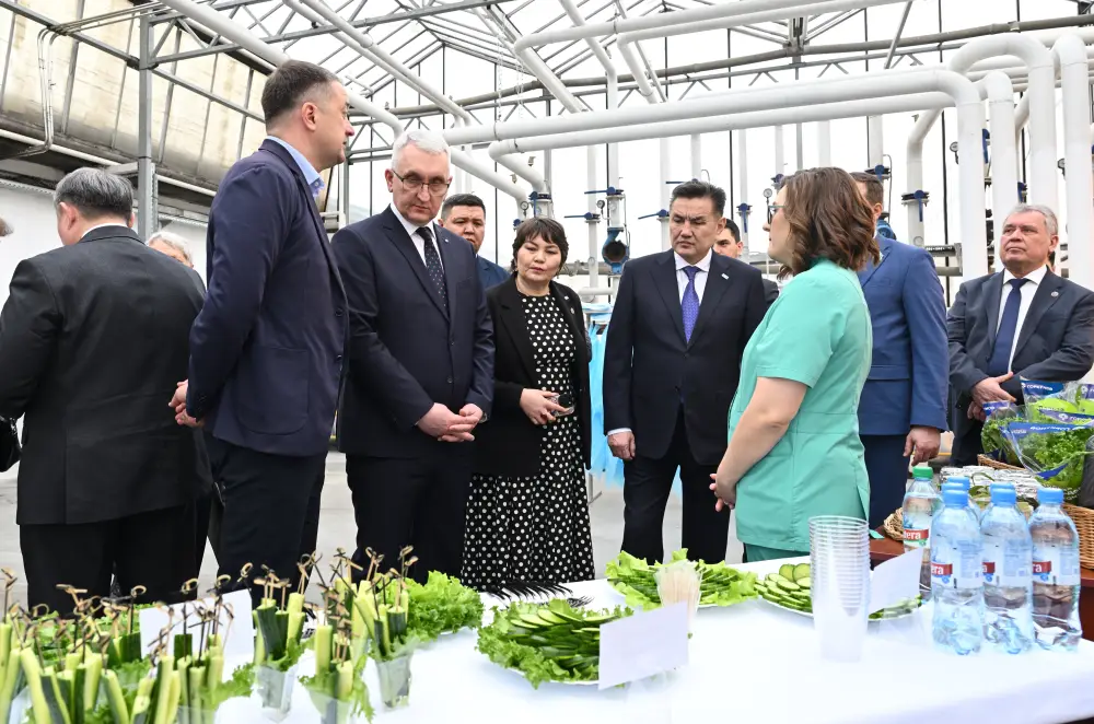 Делегация ВКО ознакомилась с работой крупнейшей теплицы в Барнауле (3)