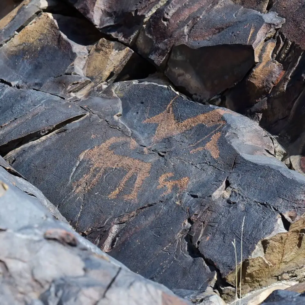 В этом году в области Жетісу создадут три экопарка (2)