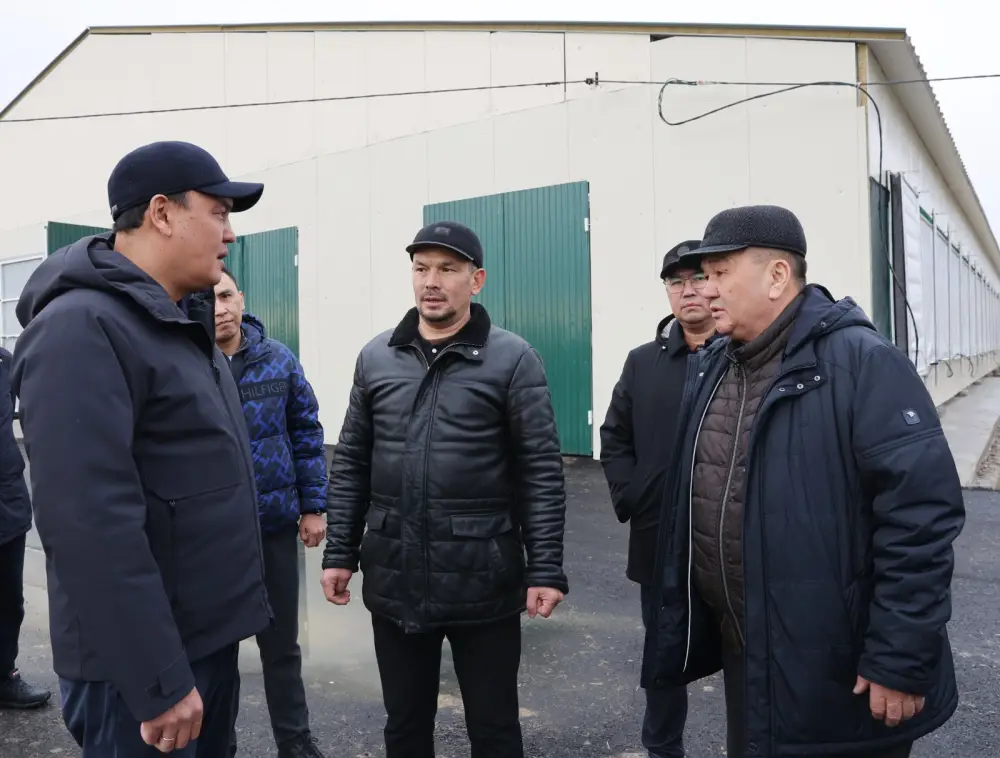 Рабочая поездка в Жамбылский район: образование, жилищная политика, АПК (8)