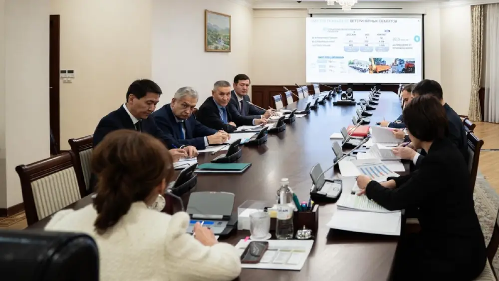 В Правительстве рассмотрели эпидситуацию по кори и охваты профилактическими прививками (3)