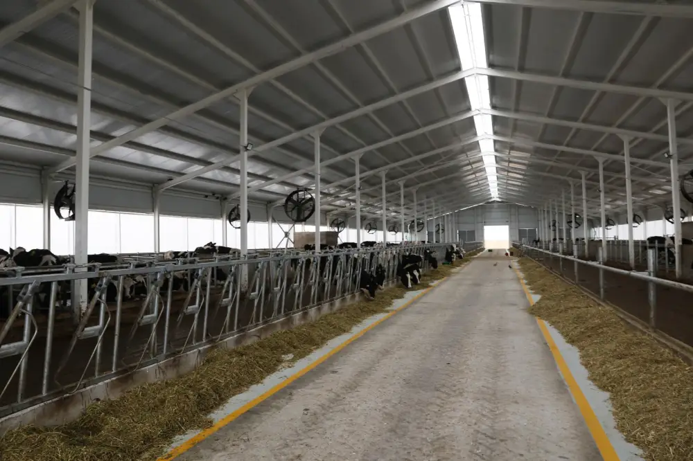 Рабочая поездка в Жамбылский район: образование, жилищная политика, АПК (10)