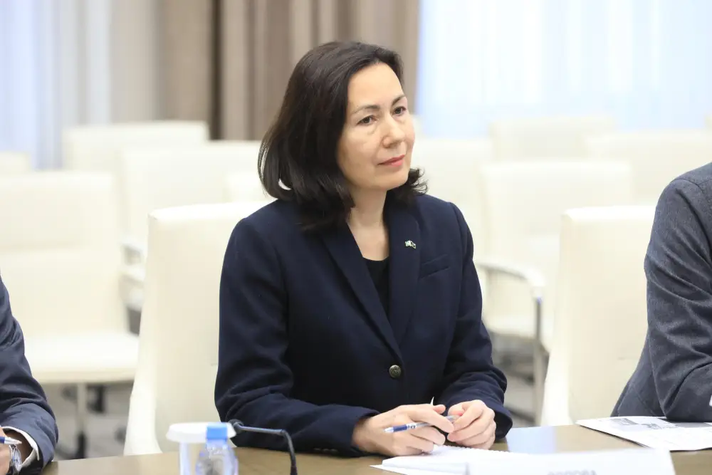 Глава региона Асхат Шахаров принял делегацию Европейского Союза (3)