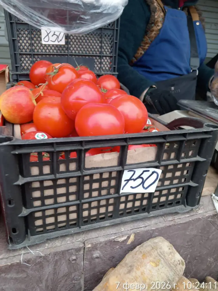 На ярмарке в Актау из стабилизационного фонда было реализовано 2 тонны картофеля (4)
