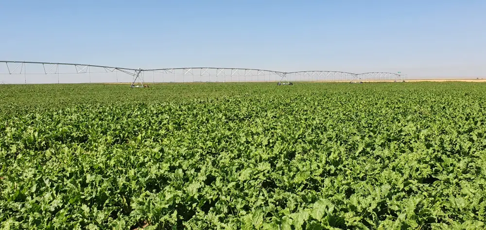 Водное хозяйство Жетісу: новые инфраструктурные проекты и современные технологии (4)