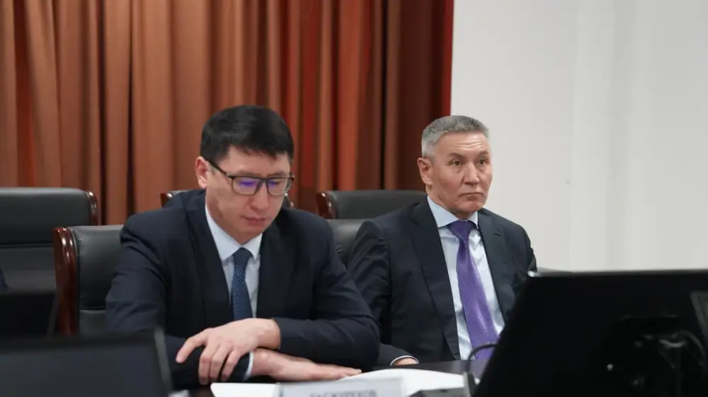 Масштабные изменения Конституции определят долгосрочный вектор развития Казахстана (2)