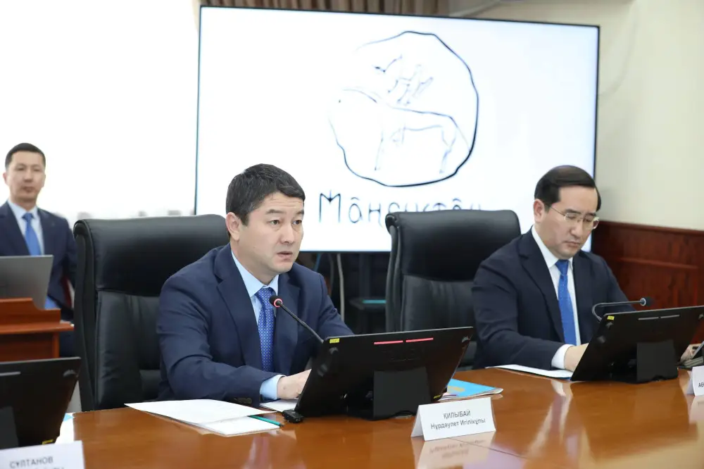 Нурдаулет Килыбай встретился с представителем UNICEF в Казахстане (5)