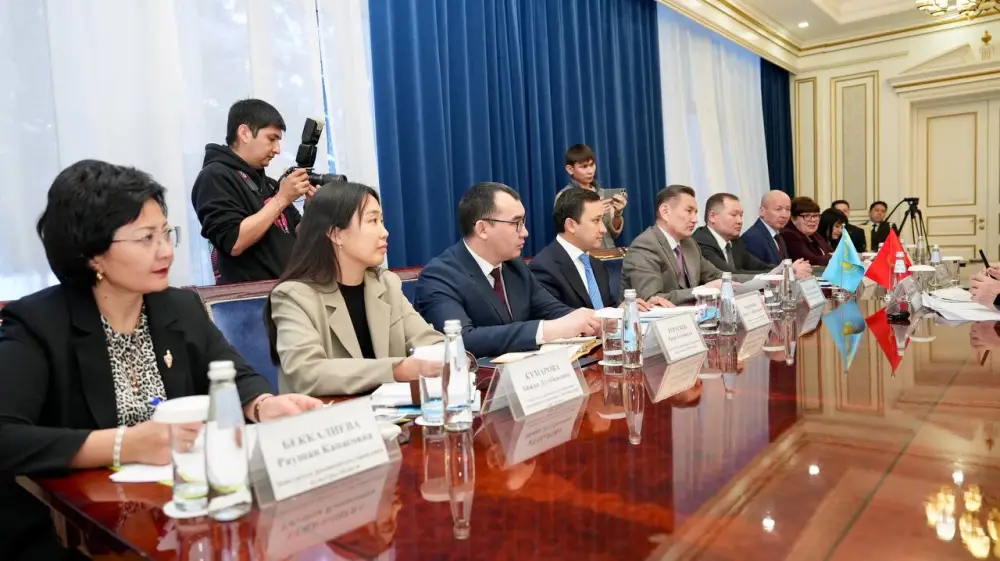 Товарооборот между ВКО и Кыргызстаном за год превысил 500 млн долларов (4)