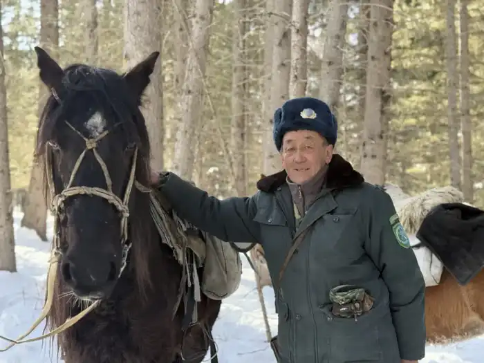 Забота о дикой природе зимой (3)