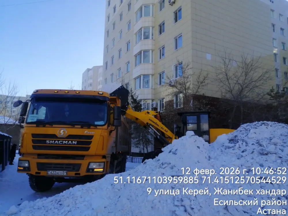 Около двух тысяч единиц спецтехники задействованы в снегоуборочных работах в Астане (5)
