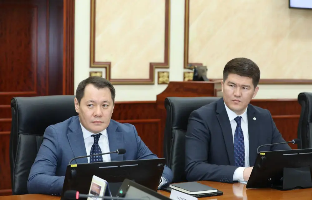 Нурдаулет Килыбай принял председателя правления фонда «Даму» (2)