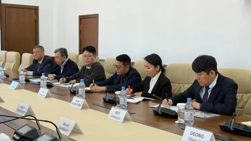 Инвестиционный импульс для Улытау: переговоры с компанией «Microbus (4)