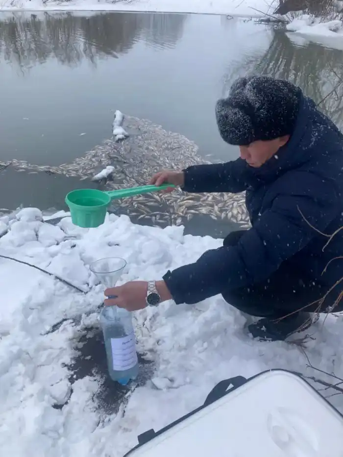 Внеплановая проверка по факту гибели рыбы в реке Айдабулка (3)