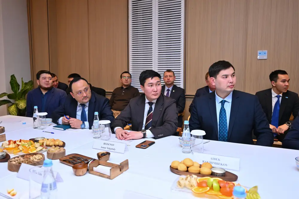 Аким области встретился с зарубежными инвесторами (10)