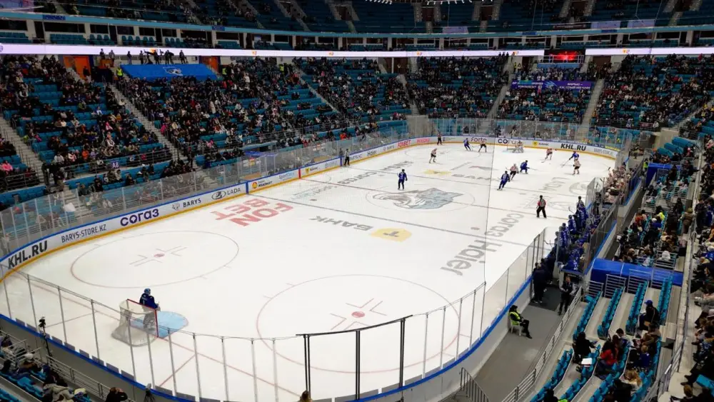 Необычную акцию в поддержку Конституционных реформ провели во время матча столичного хоккейного клуба «Барыс» (6)