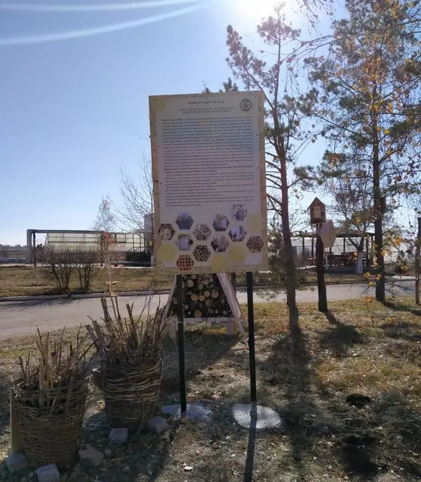 Экопроект: в Карагандинском университете имени Е. А. Букетова открыли «гостиницу» для полезных насекомых (4)