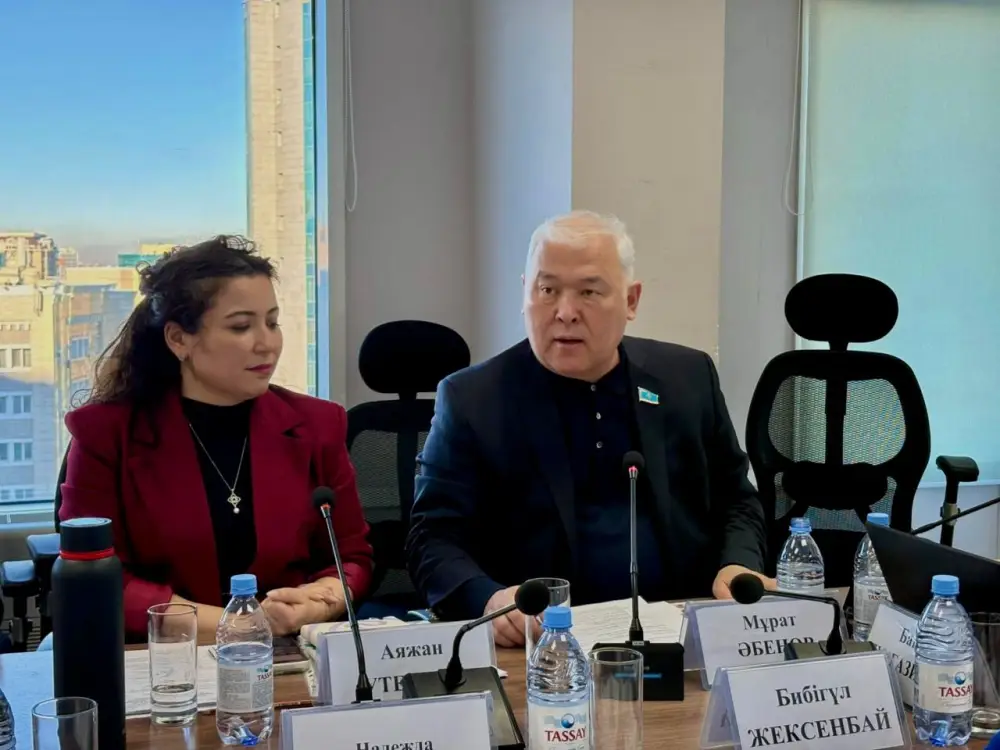 В столице обсудили механизмы общественного участия в конституционных реформах (2)